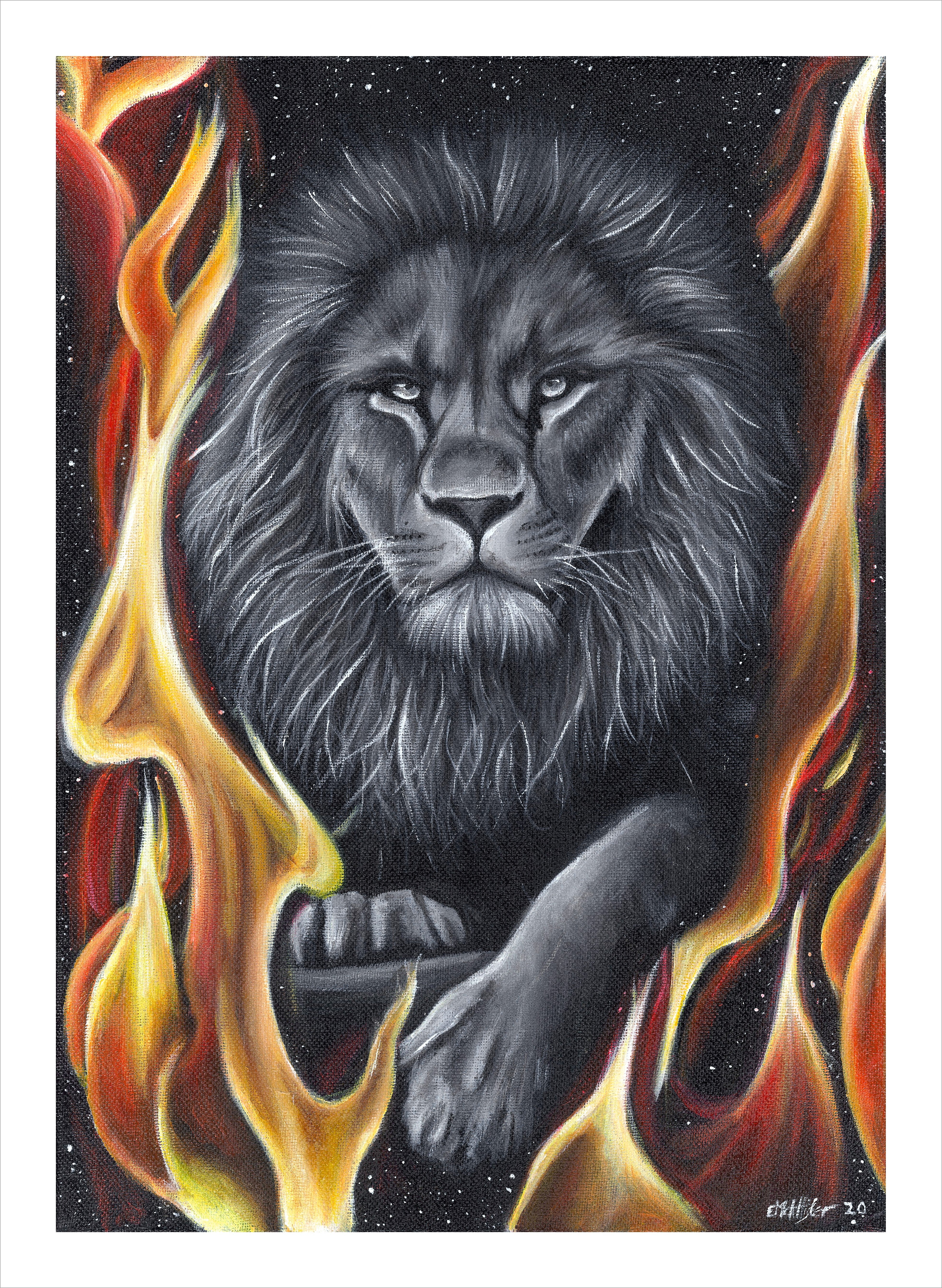 The Lion of Judah(Prints)